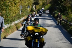 IMG_3053photo