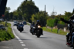 IMG_3055photo