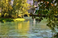 IMG_0050photo