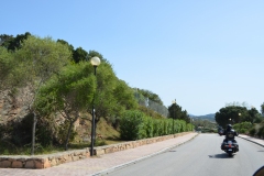IMG_5226photo