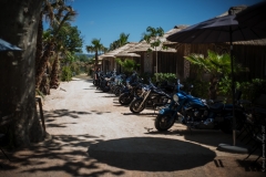 DSC01596
