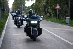 IMG_2801photo