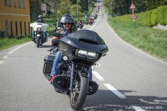 IMG_4412photo