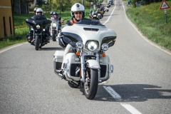 IMG_4424photo