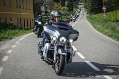 IMG_4438photo