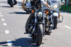 IMG_4499photo