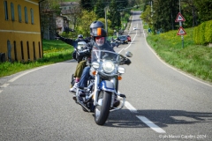 IMG_4556photo