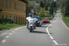 IMG_4558photo