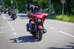 IMG_4565photo