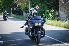 IMG_4566photo