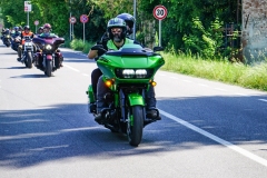 IMG_4574photo