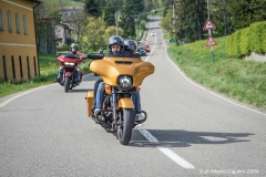 IMG_4587photo