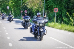 IMG_4598photo