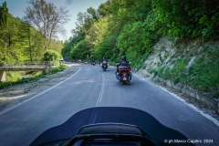 IMG_4605photo
