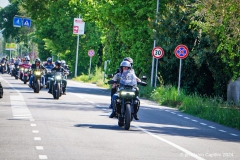 IMG_4629photo