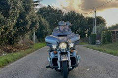 IMG_1896photo