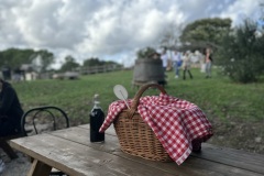 IMG_1956photo