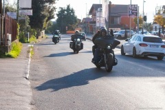 IMG_0533photo