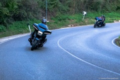 IMG_0538photo