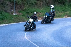 IMG_0541photo