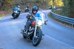 IMG_0581photo