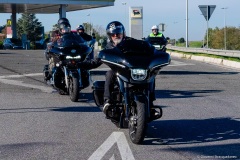 IMG_0600photo