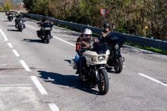 IMG_0383photo