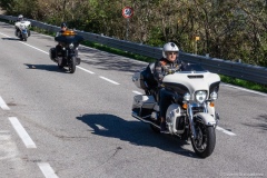 IMG_0390photo