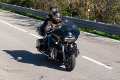 IMG_0392photo