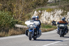 IMG_0204photo