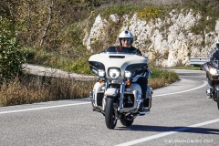 IMG_0211photo