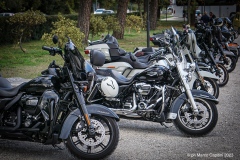 IMG_2012photo