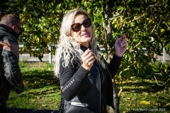 IMG_2024photo