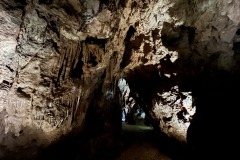 AnyConv.com__IMG_0582_photo