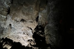 AnyConv.com__IMG_0592_photo