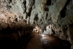 AnyConv.com__IMG_0596_photo