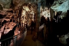 AnyConv.com__IMG_0600_photo