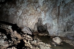AnyConv.com__IMG_0601_photo