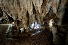 AnyConv.com__IMG_0628_photo