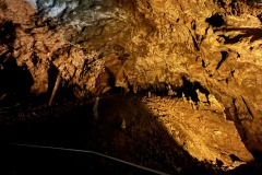 AnyConv.com__IMG_0651_photo