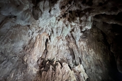 converted-IMG_0678_photo