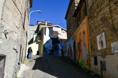 IMG_7269photo