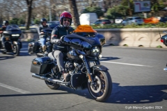IMG_3186photo
